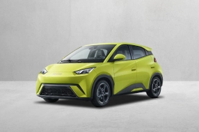 BYD Dolphin Mini PCD